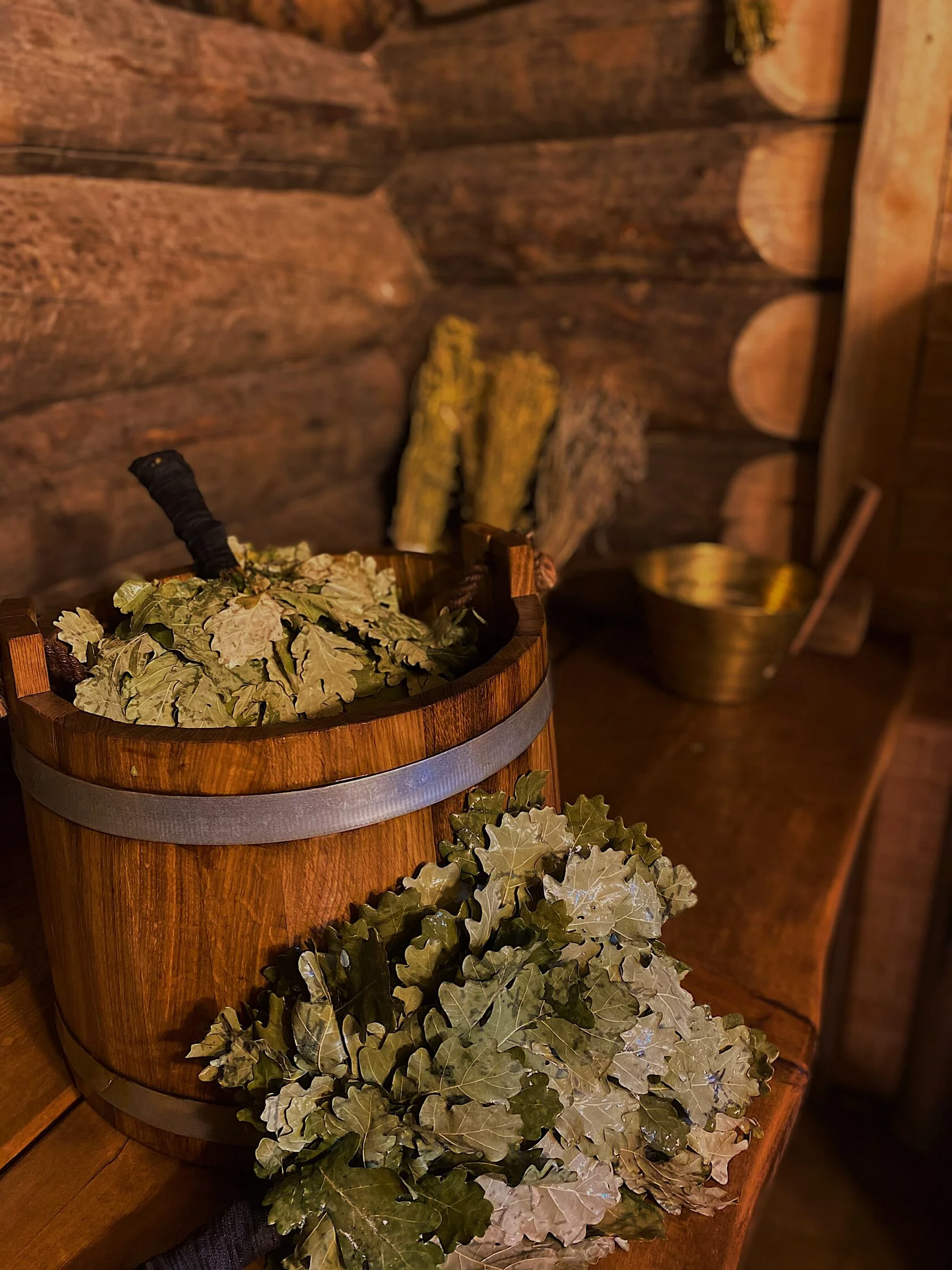 Программа парения THE BANYA