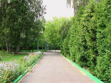 База отдыха Лесные поляны