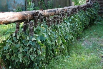 Баня Лёдово