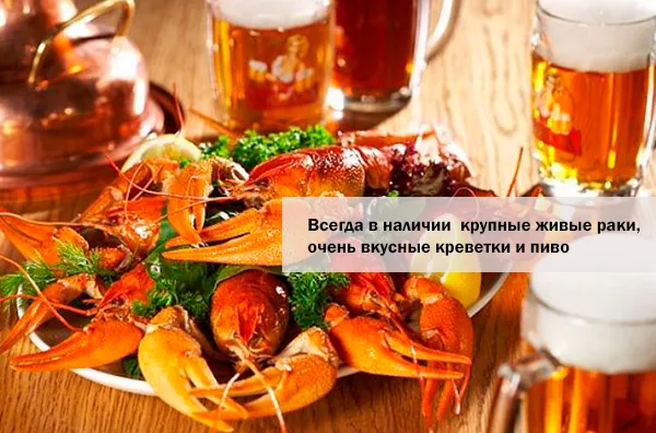 Банный дворик в Подольске