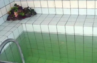 Сауна на Ижорской