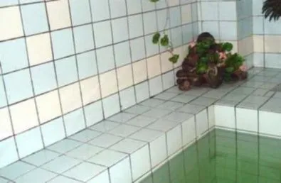 Сауна на Ижорской