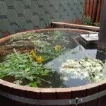 Фатеевы бани