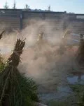  Клёвые Бани