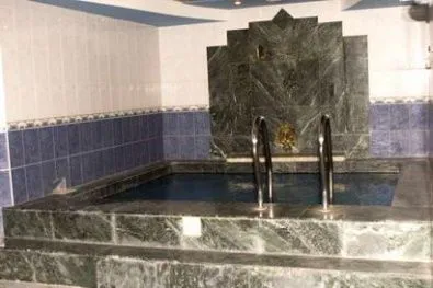 Сауна Платан