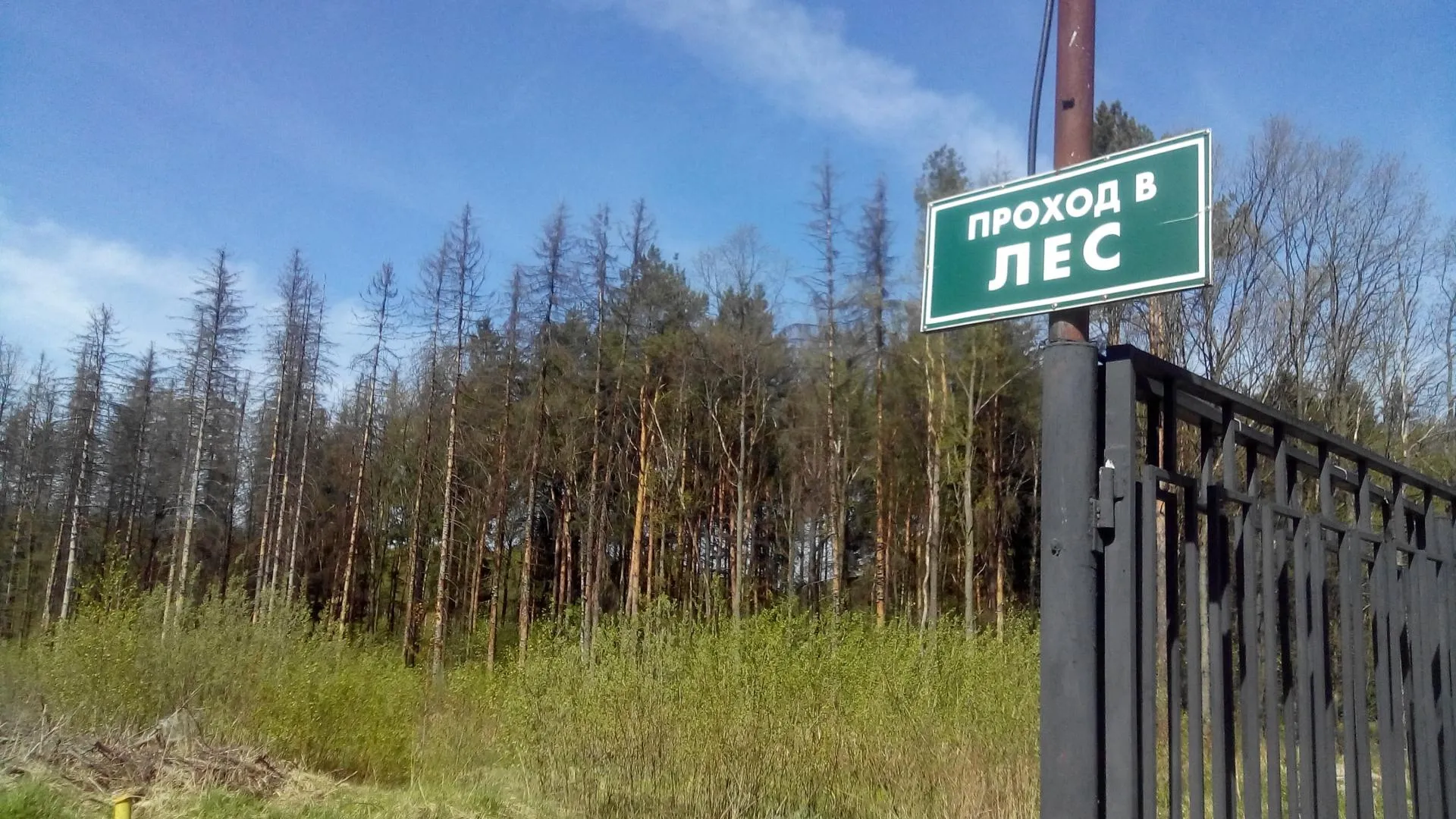 Сауна Родники
